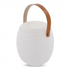 1626 | CoolLux Mini moodlight and wireless speaker