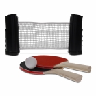 Table tennis set for a regular table