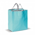 Borsa frigo