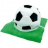 Voetbal grashoed