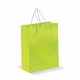 LT91512 - Paper bag medium - Light Green
