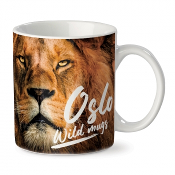 Mug subli Oslo 300ml